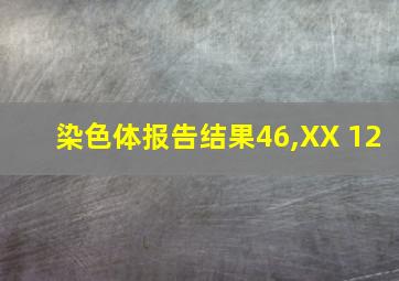 染色体报告结果46,XX 12